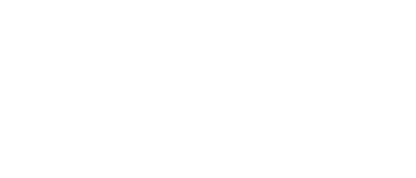 World Defence Force